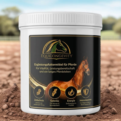 EquiLongevity 500g - Ideal zum Kennenlernen