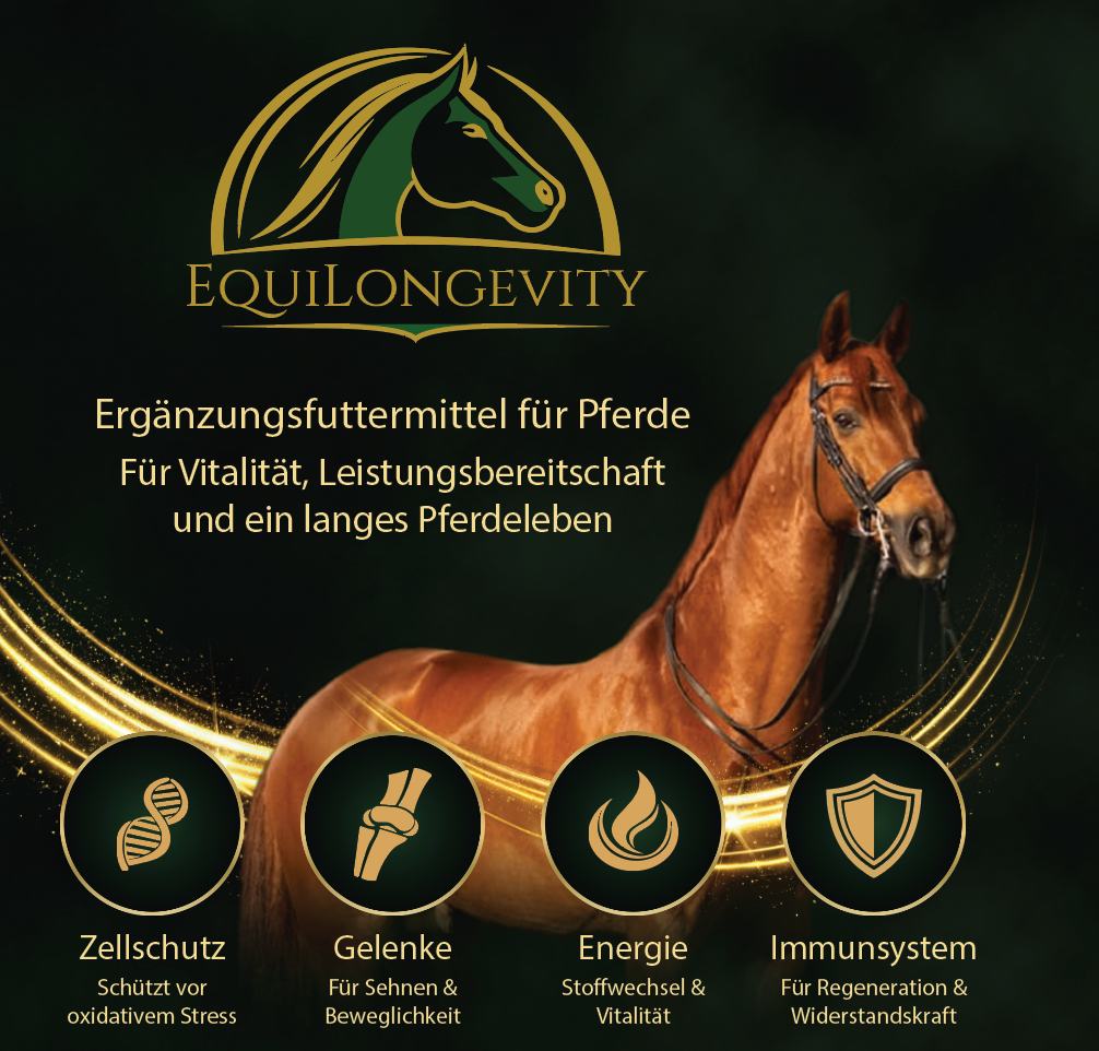 EquiLongevity 1 Kg (2 Stück 500 g Dosen)